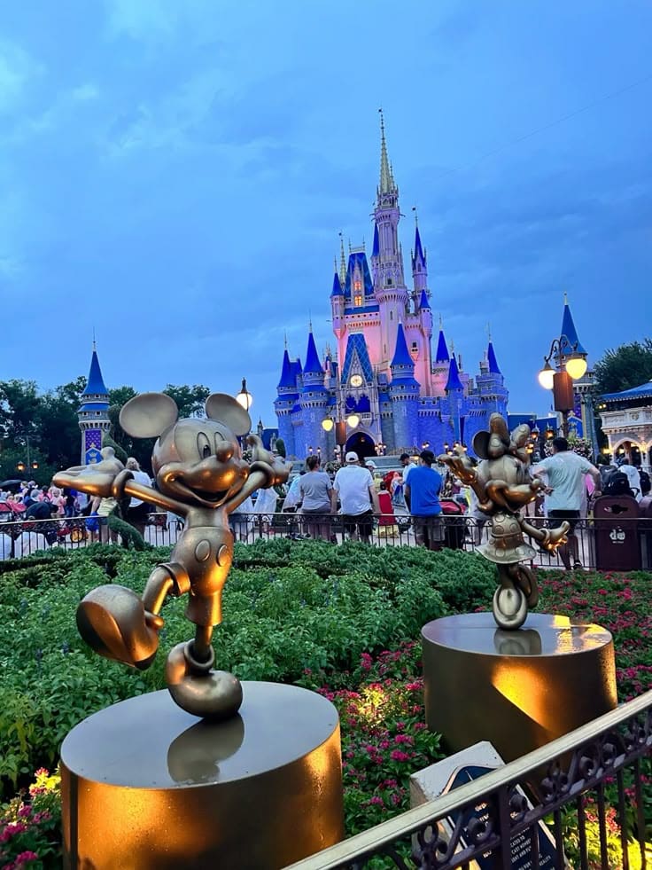 car service to Disney Land