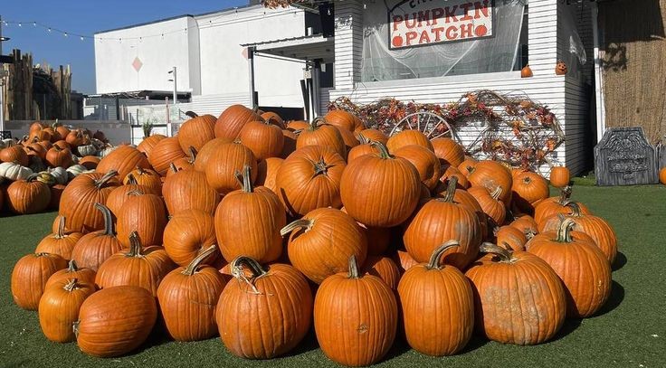 Halloween Party 2025