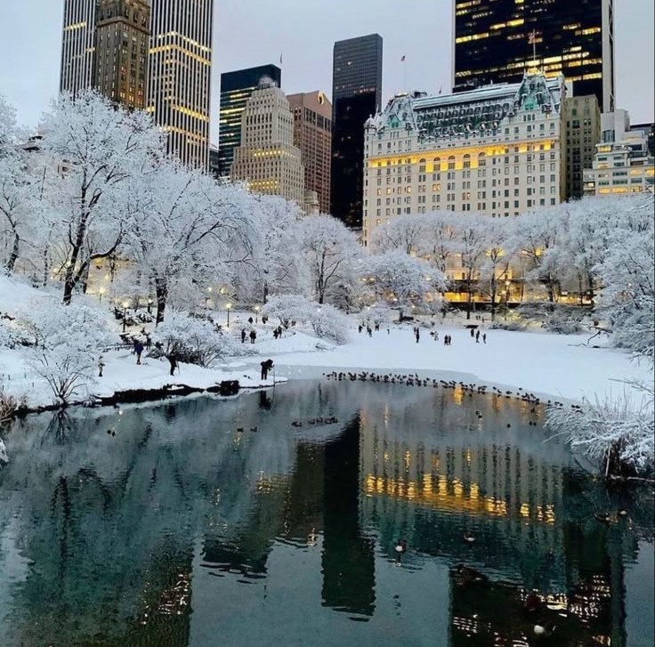 five best places to visit in New York in winter