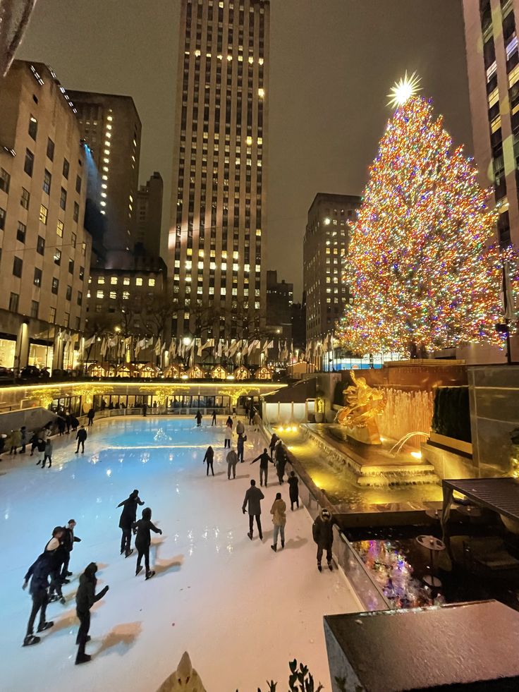  five best places to visit in New York in winter